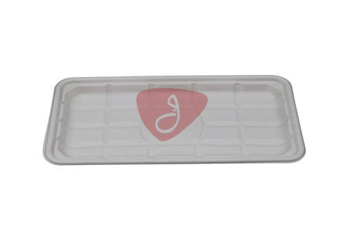 Sugarcane trays TR10S