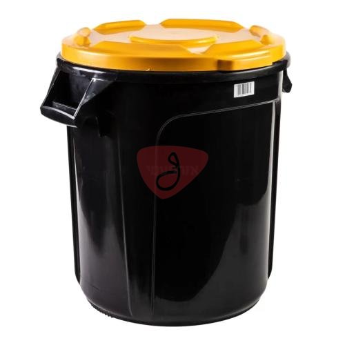Trash bin with lid